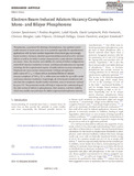 Speckmann-2024-Advanced Materials Interfaces-vor.pdf.jpg